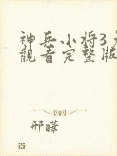 神兵小将3免费观看完整版封面