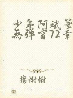 少年阿斌笔趣阁无弹窗72章