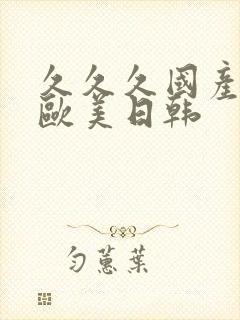 久久久国产精品欧美日韩封面