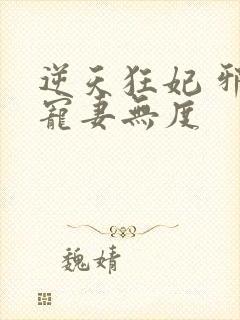 逆天狂妃 邪王宠妻无度