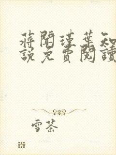 蒋闻瑾叶知薇小说免费阅读封面