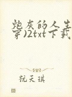 炮灰的人生(快穿)2txt下载