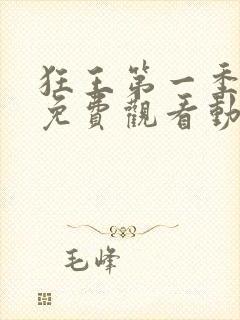 狂王第一季全集免费观看动漫版封面