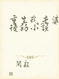 重生我老婆是天后的小说