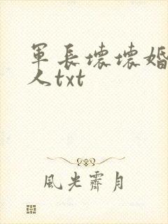 军长坏坏婚宠撩人txt