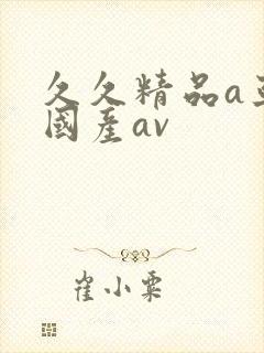久久精品a亚洲国产av