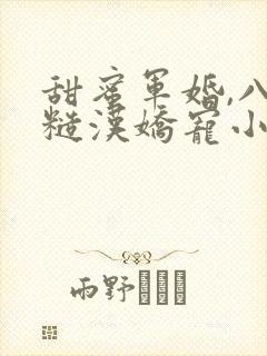 甜蜜军婚,八零糙汉娇宠小傻妻