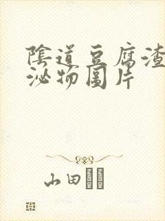 阴道豆腐渣样分泌物图片