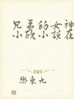 兄弟的女神女友小欣小说在线阅读