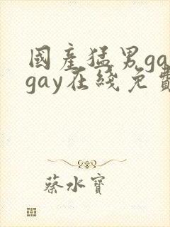 国产猛男gaygay在线免费观看