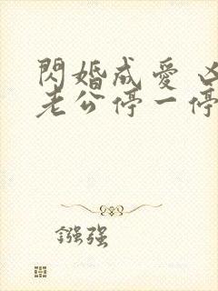 闪婚成爱 凶猛老公停一停