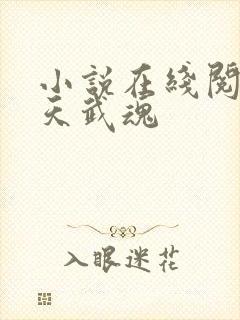 小说在线阅读霸天武魂