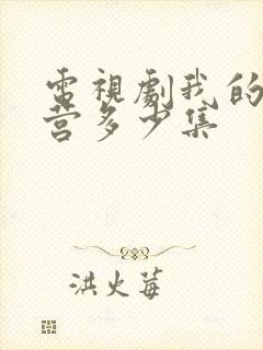 电视剧我的特一营多少集