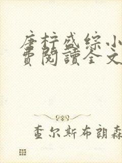 唐柠盛综小说免费阅读全文最新章节