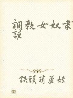 调教女奴隶的小说