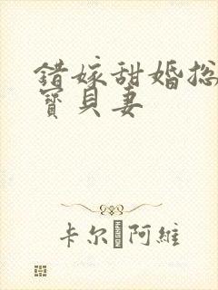 错嫁甜婚总裁的宝贝妻