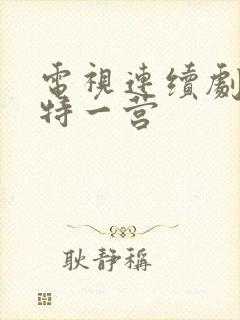 电视连续剧我的特一营