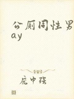 公厕同性男男gay