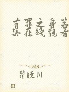 有罪之身第12集在线观看免费封面