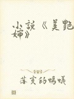 小说《美艳的婶婶》