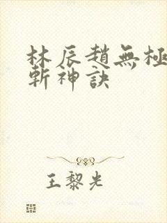 林辰赵无极九天斩神诀封面