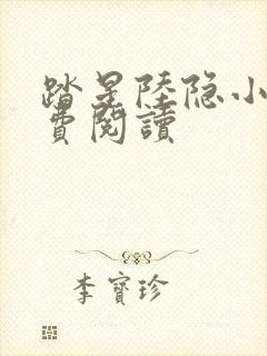 踏星陆隐小说免费阅读