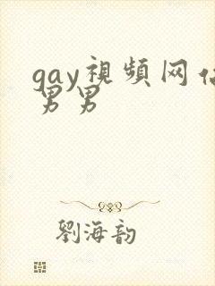 gay视频网站男男