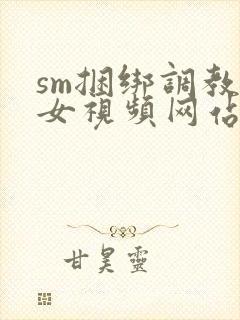 sm捆绑调教美女视频网站