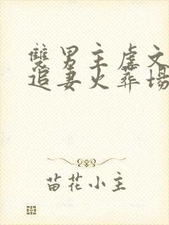 双男主虐文he追妻火葬场