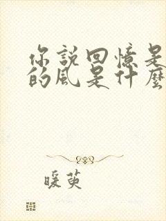 你说回忆是心里的风是什么歌