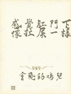 感觉肛门下坠感像拉屎一样