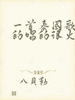 一首泰国歌曲男的唱的很火