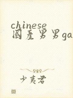 chinese国产男男gaygay网站封面