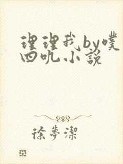 理理我by噗十四叽小说封面