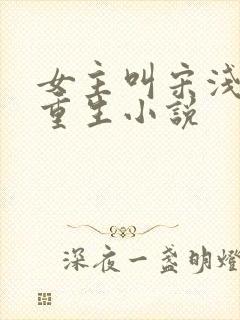 女主叫宋浅浅的重生小说