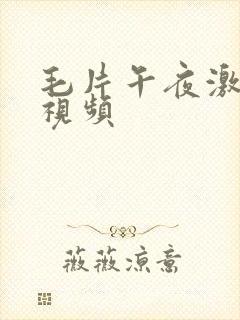 毛片午夜激情小视频