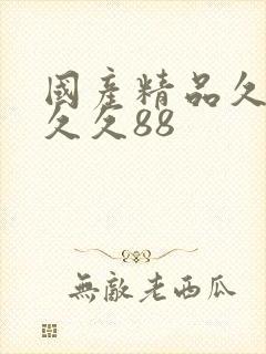 国产精品久久久久久88