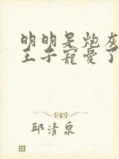 明明是炮灰却被王子宠爱了动漫