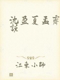 沈盈夏孟霁明小说