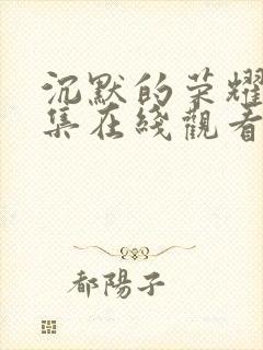 沉默的荣耀36集在线观看