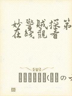 妙警贼探第四季在线观看