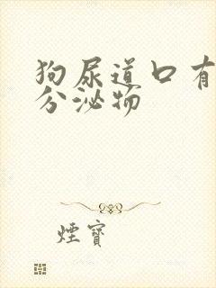 狗尿道口有黄色分泌物