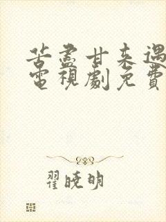 苦尽甘来遇见你电视剧免费观看高清