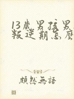 13岁男孩男孩叛逆期怎么办