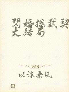 闪婚总裁契约妻大结局封面