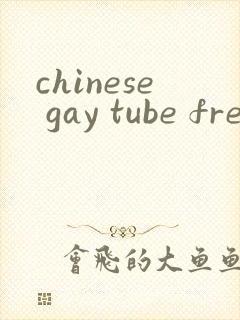 chinese gay tube free封面