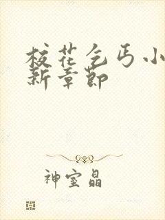 校花乞丐小说最新章节