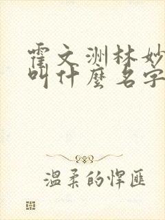 霍文洲林妙小说叫什么名字