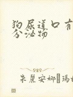 狗尿道口有黄色分泌物封面