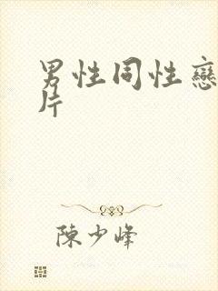 男性同性恋黄色片